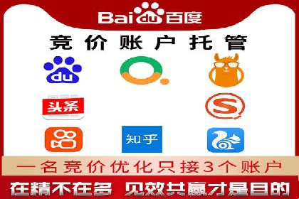 行业领先企业的SEM代理案例剖析